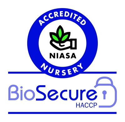 BioSecure HACCP