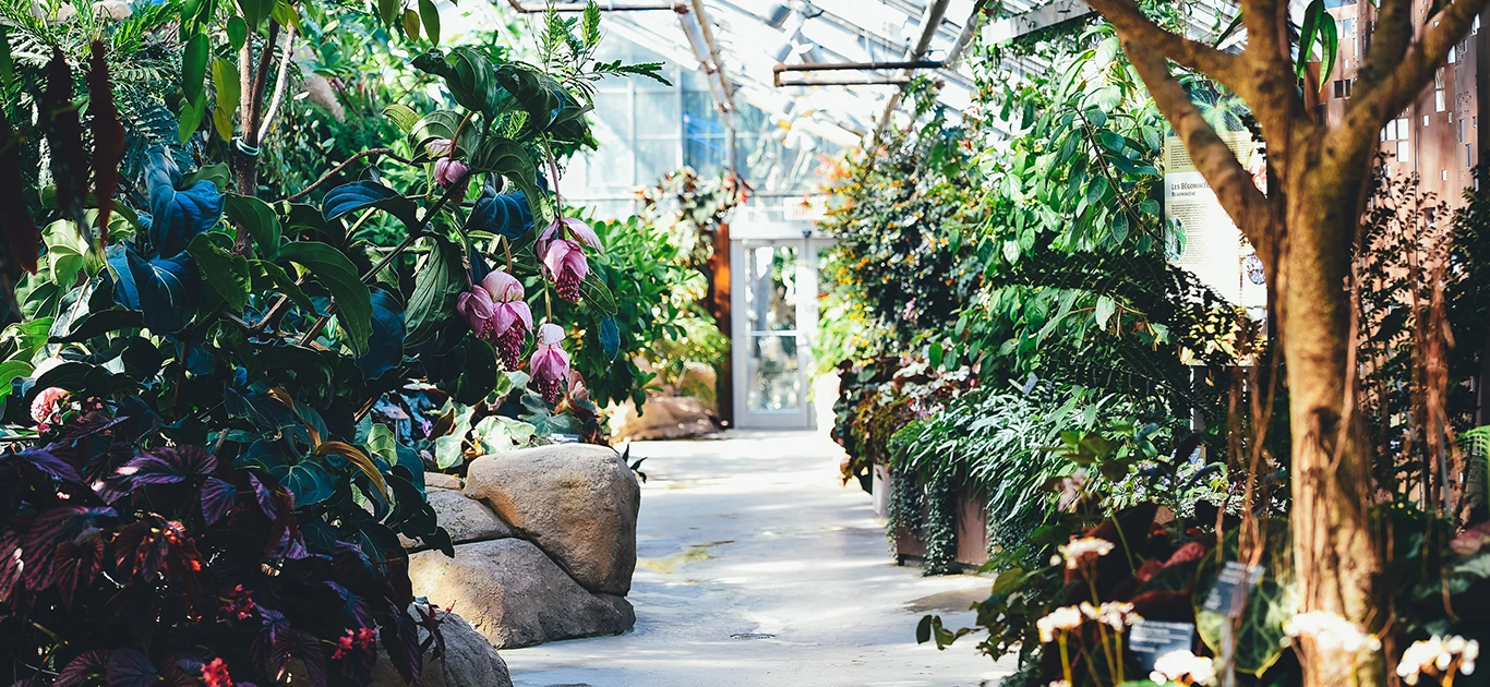 Website header 4