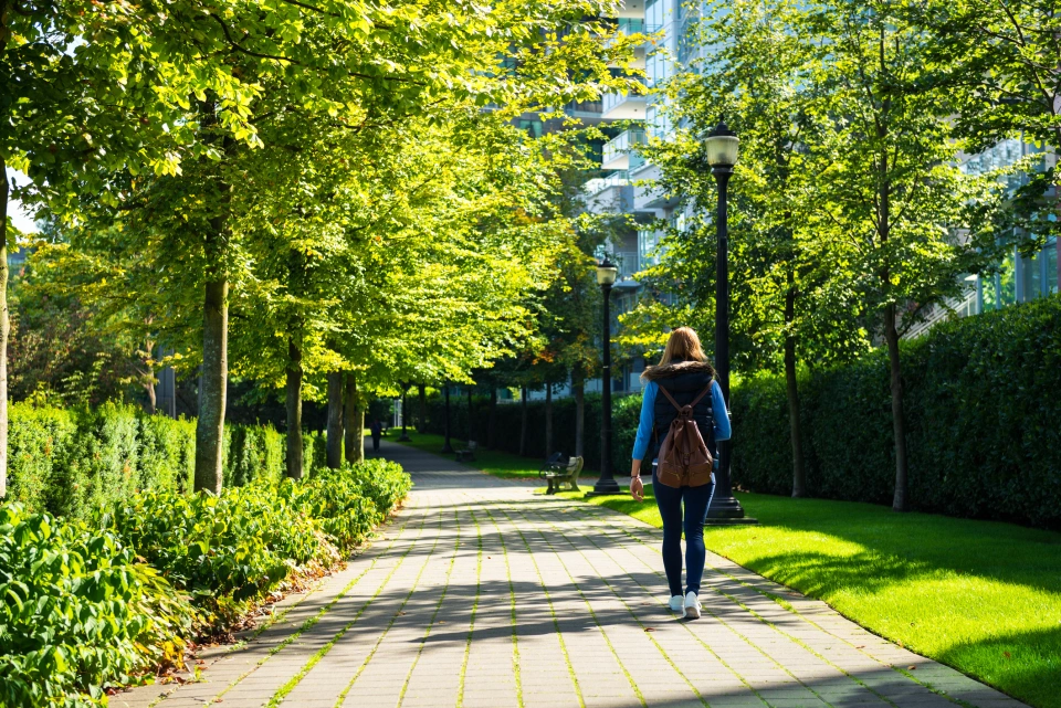 Walking in the park
