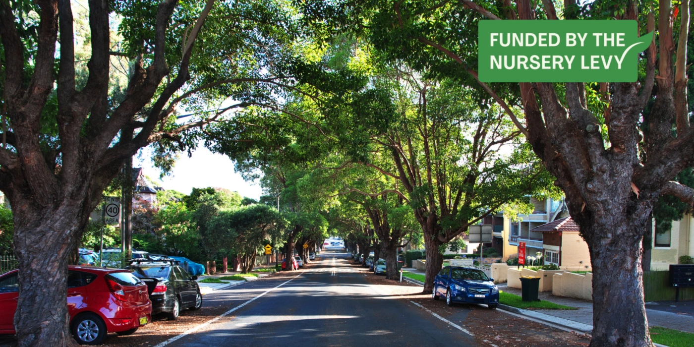 Climate street trials