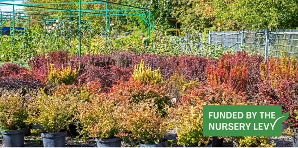 Whats in a pot image 1