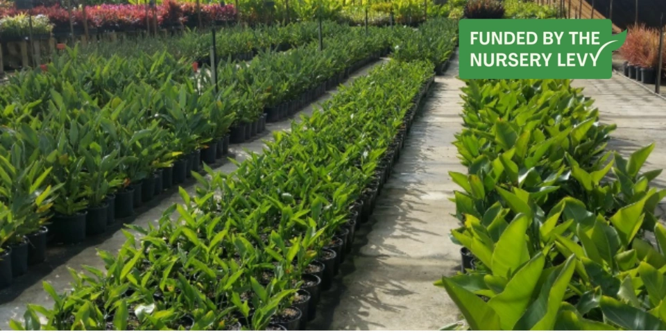 Media release nursery industry sells 2 3 billion plants