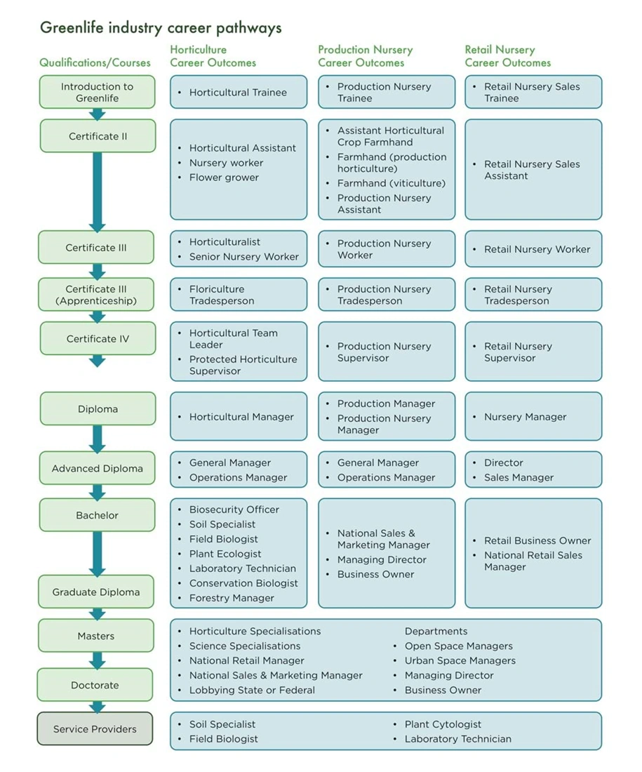 Career pathways diagram
