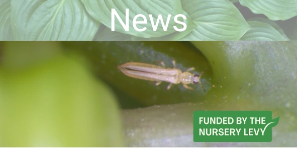 16 November e News final