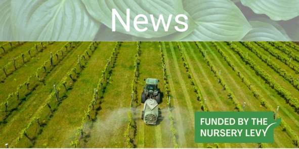 31 Octoeber e News final