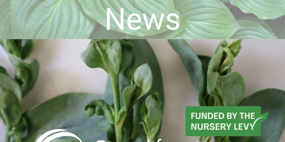 17 October e News final