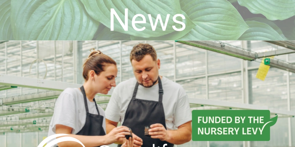 2 October e News final