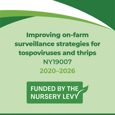 NY19007 Improving surveillance strategies for tospoviruses and thrips
