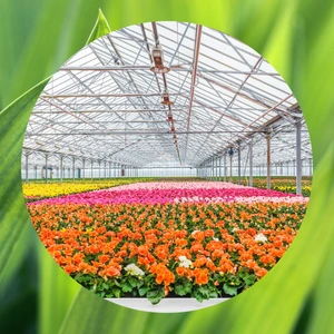 Greenlife Business Directory