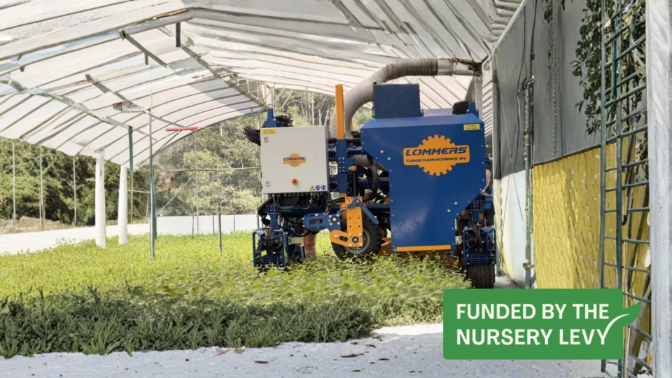 Harts Nursery
