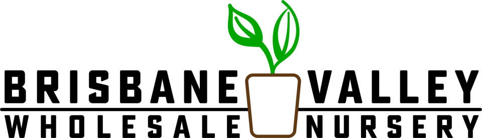 Brisbane valley wholesale nursery