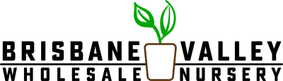 Brisbane valley wholesale nursery